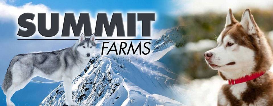 Summit Farms Header